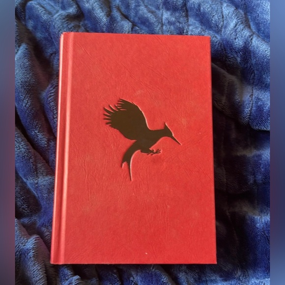 Catching Fire  Hardcover Book - Picture 5 of 6